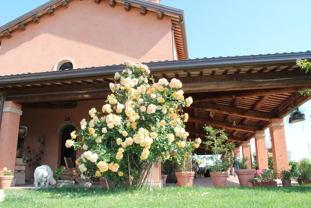 La Fornasaccia Bed & Breakfast Cesena Exterior photo